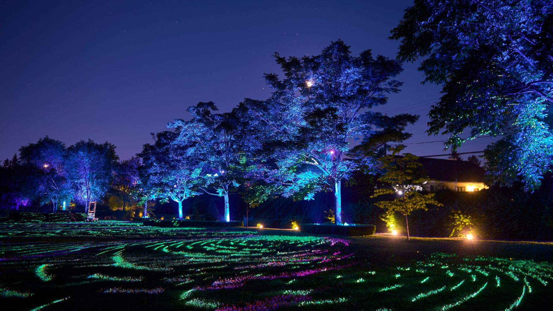Allégeance, illuminations
